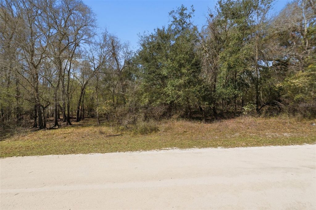 Photo of Webster, FL 33597 (MLS # W7883666)