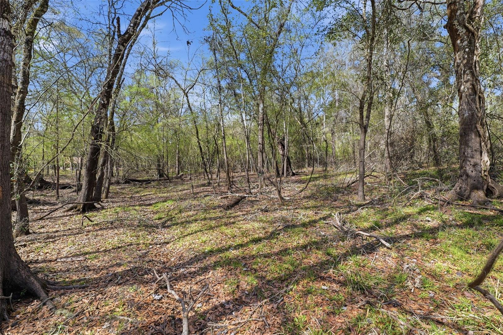 KINGS ROW - RIDGE MANOR - Land