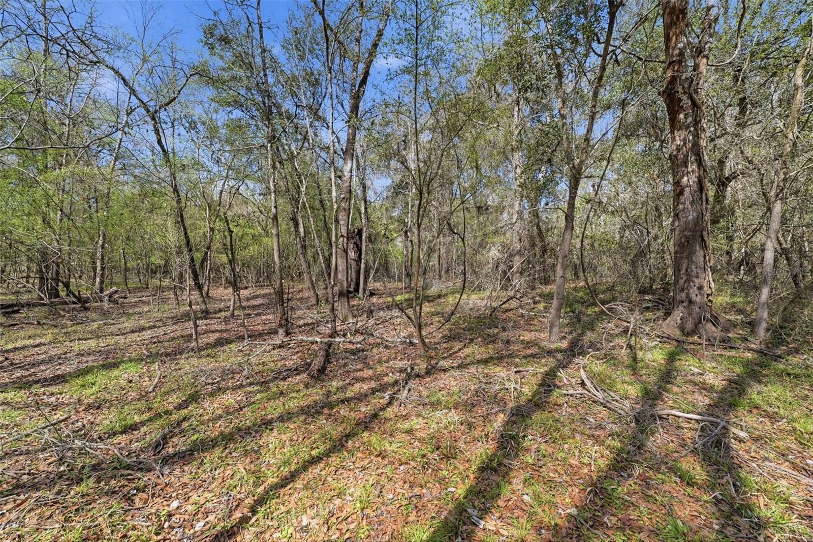 KINGS ROW - RIDGE MANOR - Land