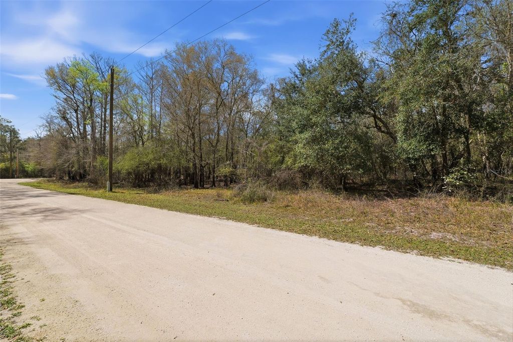 Photo of Webster, FL 33597 (MLS # W7883666)