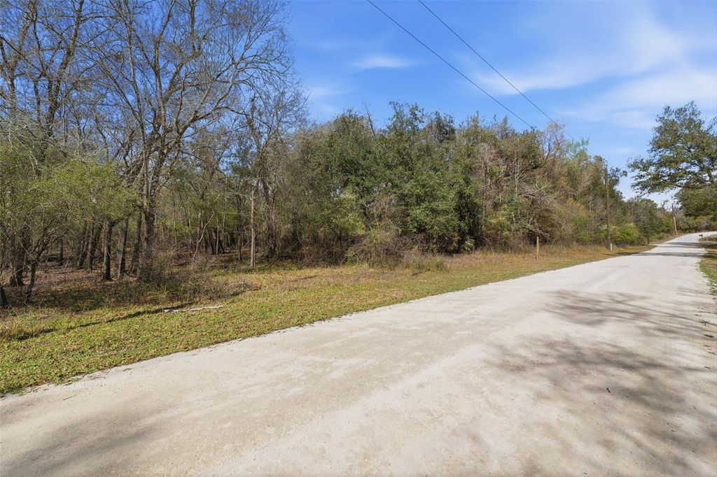 Photo of Webster, FL 33597 (MLS # W7883666)