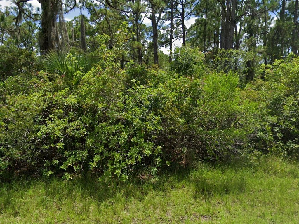 Photo of 12345 Greenleaf Lane, Port Charlotte, FL 33953 (MLS # N6137954)