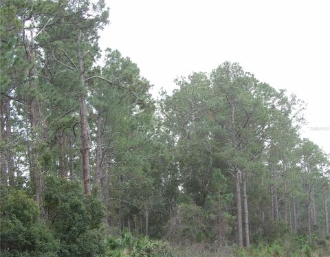 DELAND, FL 32724 DELAND FL 32724