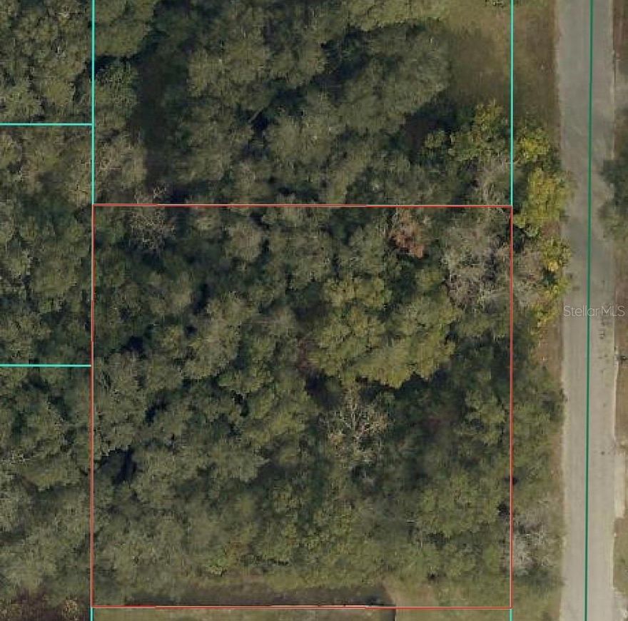Build your home on this R4-zoned property, on a paved road in Summerfield, FL. Mature trees on the property provide natural privacy while still allowing room to build. Located just minutes from Lake Weir, golf courses, nature trails, and outdoor recreation. Conveniently close to shopping, dining, and The Villages, this property offers a great opportunity to own land in an established Marion County area.