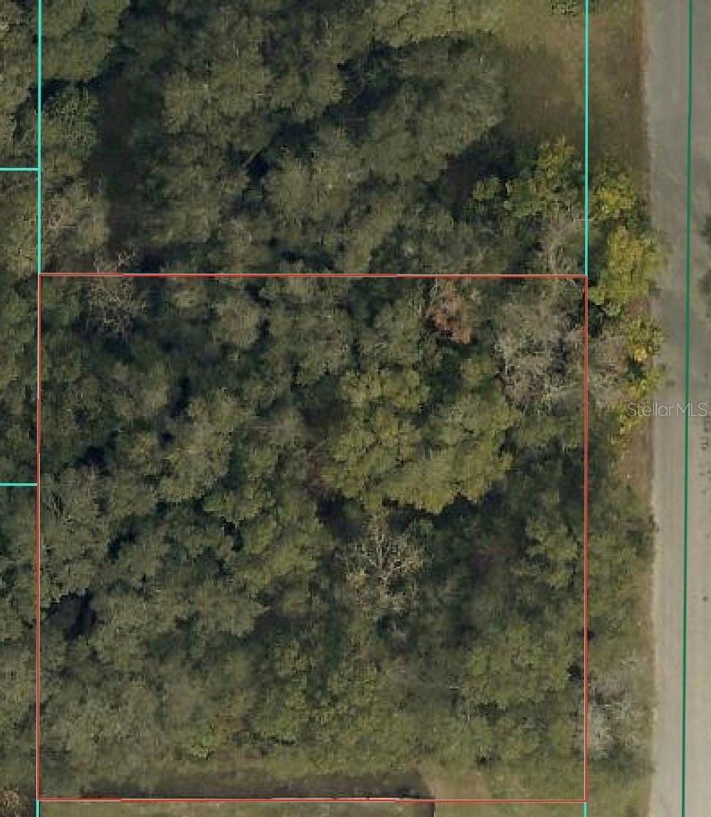 Photo of Tbd SE 94 Court, Summerfield, FL 34491 (MLS # OM716156)