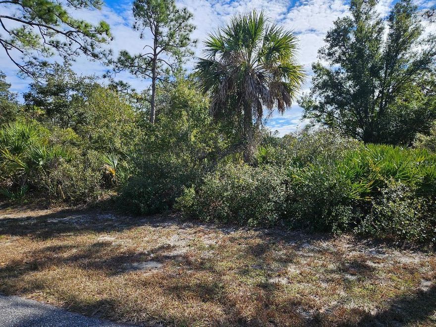 Don't miss the opportunity to own a SPACIOUS DOUBLE LOT in Port Charlotte! This Parcel offers ample room to build your Dream Home, Add a Pool, or Simply enjoy Extra Privacy! Located in Quiet Neighborhood, yet Convenient to Shopping, Dining, Schools, Medical Facilities, Golfing, Fishing, Sports Stadium and Beautiful Gulf Coast Beaches.  Best of All NO HOA and NO FLOOD INSURANCE REQUIRED!