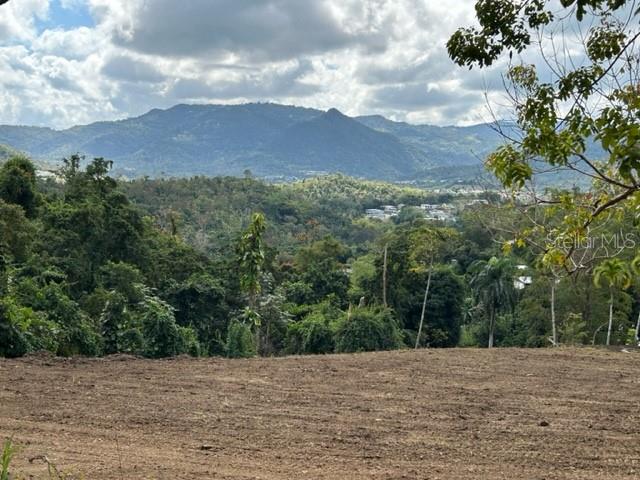 PARCELA BO TURABO - Residential