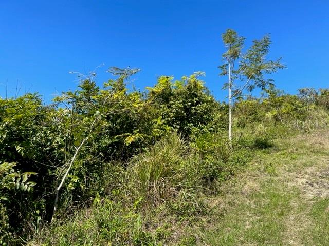 PARCELA BO TURABO - Residential