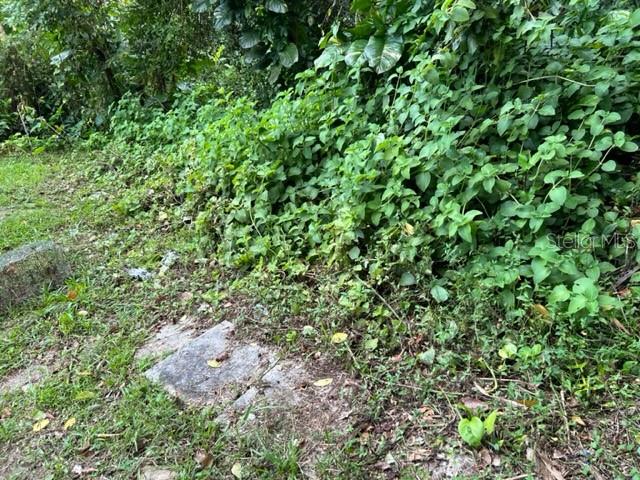 PARCELA BO TURABO - Residential