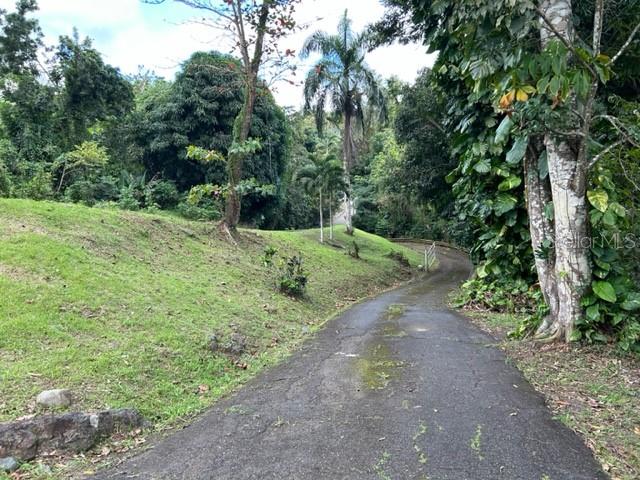 PARCELA BO TURABO - Residential