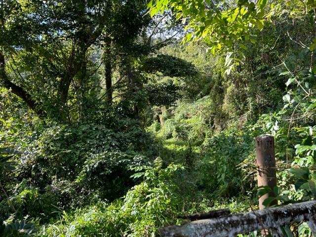 PARCELA BO TURABO - Residential