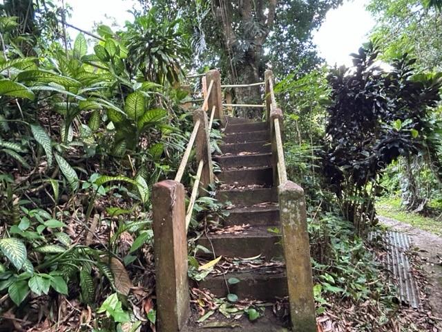 PARCELA BO TURABO - Residential