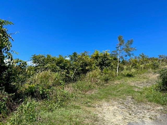 PARCELA BO TURABO - Residential