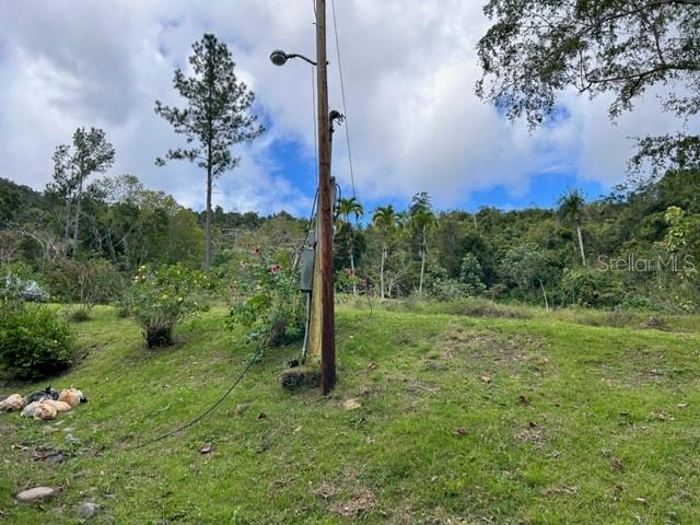 PARCELA BO TURABO - Residential