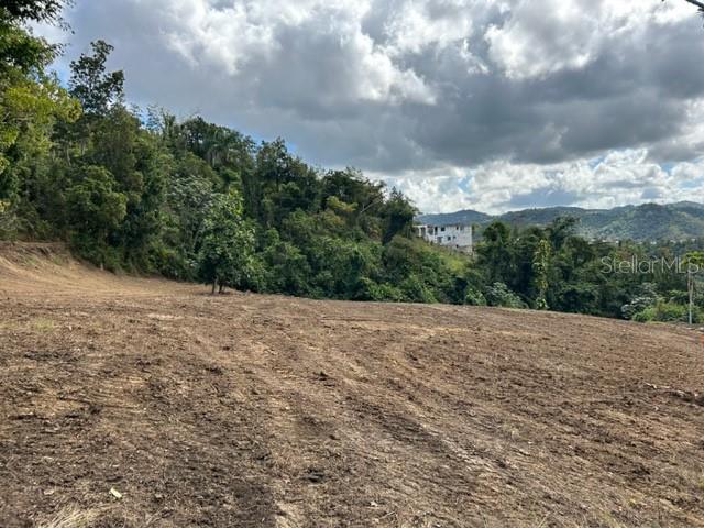 PARCELA BO TURABO - Residential