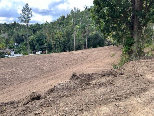 PARCELA BO TURABO - Residential