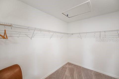 GLEN/WEST HAVEN - Residential