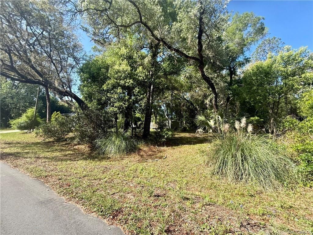 Photo of Citrus Springs, FL 34434 (MLS # TB8496687)