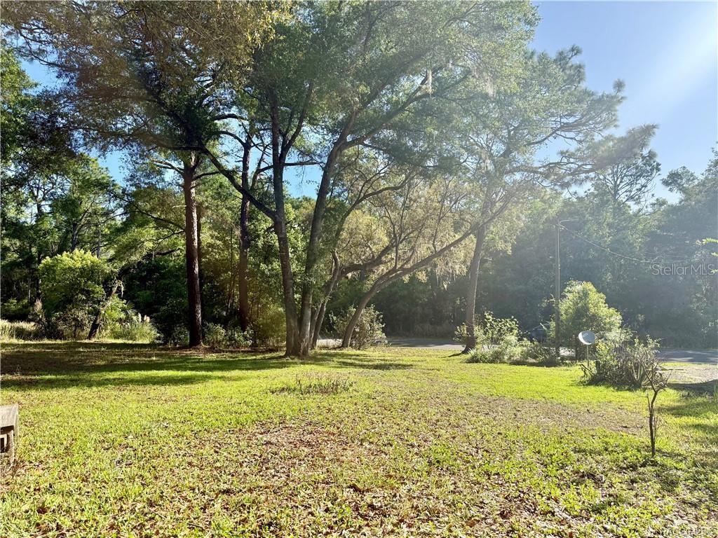 CITRUS SPGS UN 4 - Land