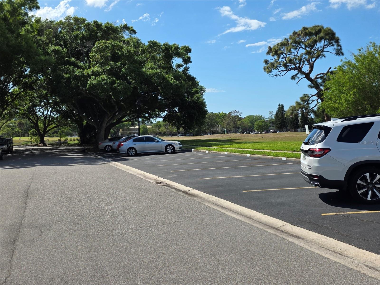 ON TOP OF THE WORLD - Residential