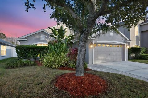 11434 CYPRESS RESERVE DRIVE TAMPA FL 33626