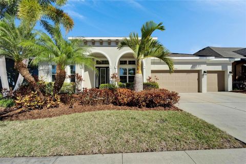 A home in APOLLO BEACH