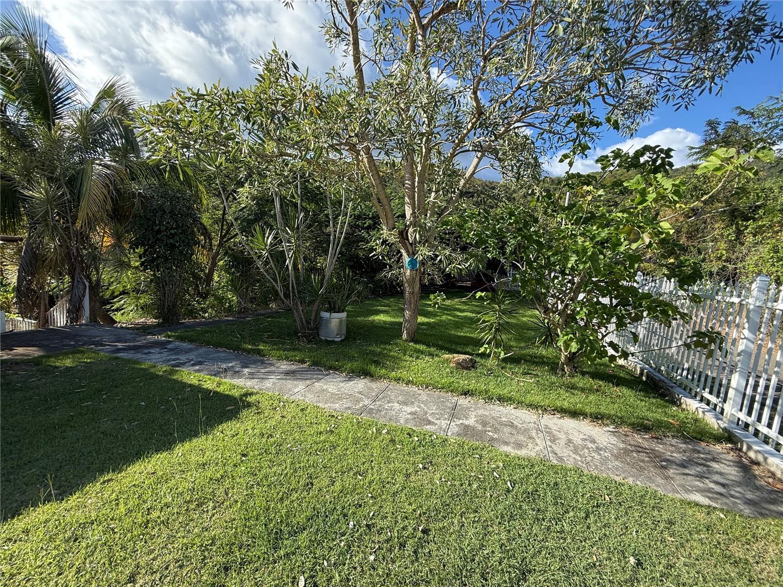 QUEBRADA CEIBA - Residential