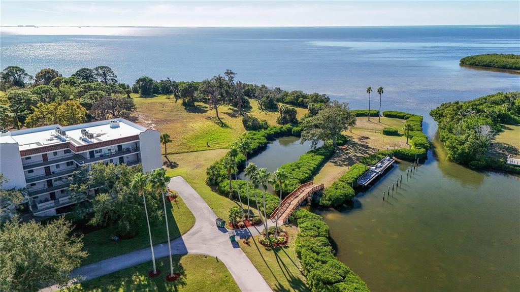 Photo of 504 S Florida Avenue #221, Tarpon Springs, FL 34689 (MLS # TB8462292)