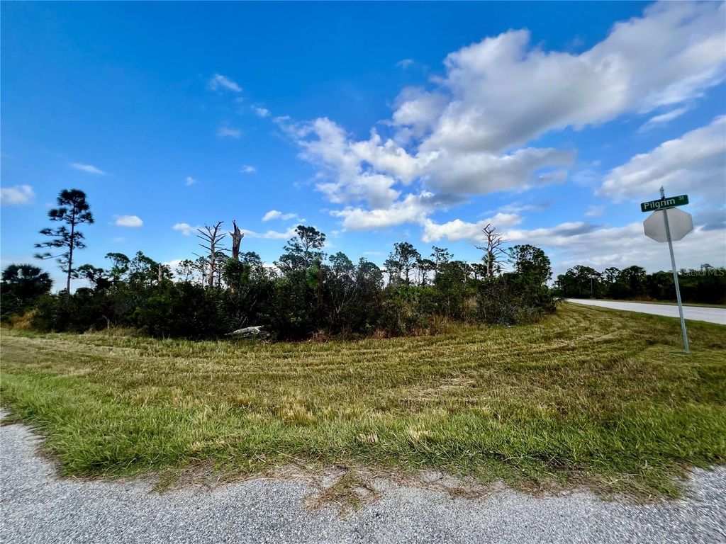 Photo of 12132 Conroy Avenue, Port Charlotte, FL 33981 (MLS # C7498855)