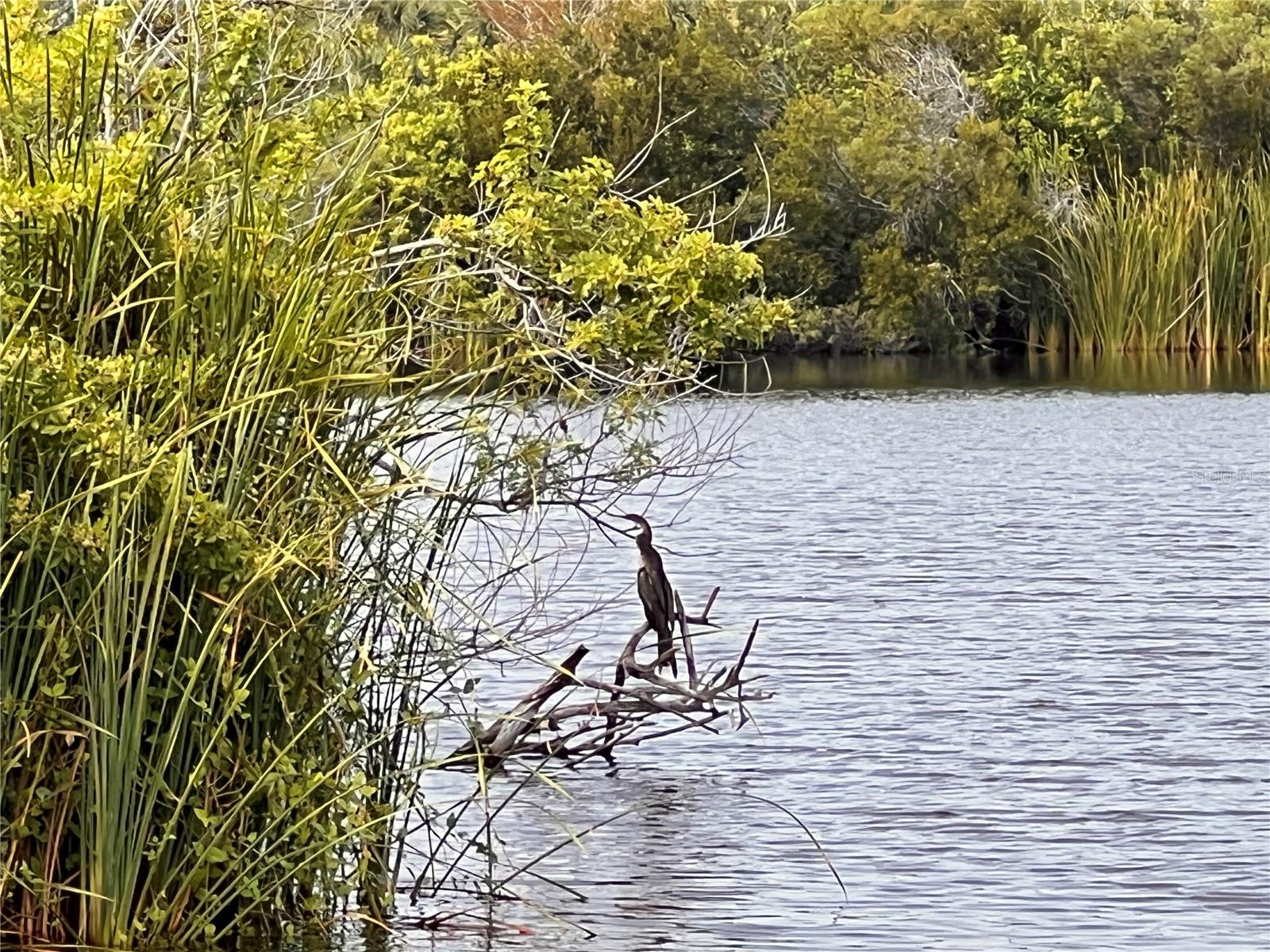 ROTONDA HEIGHTS - Land