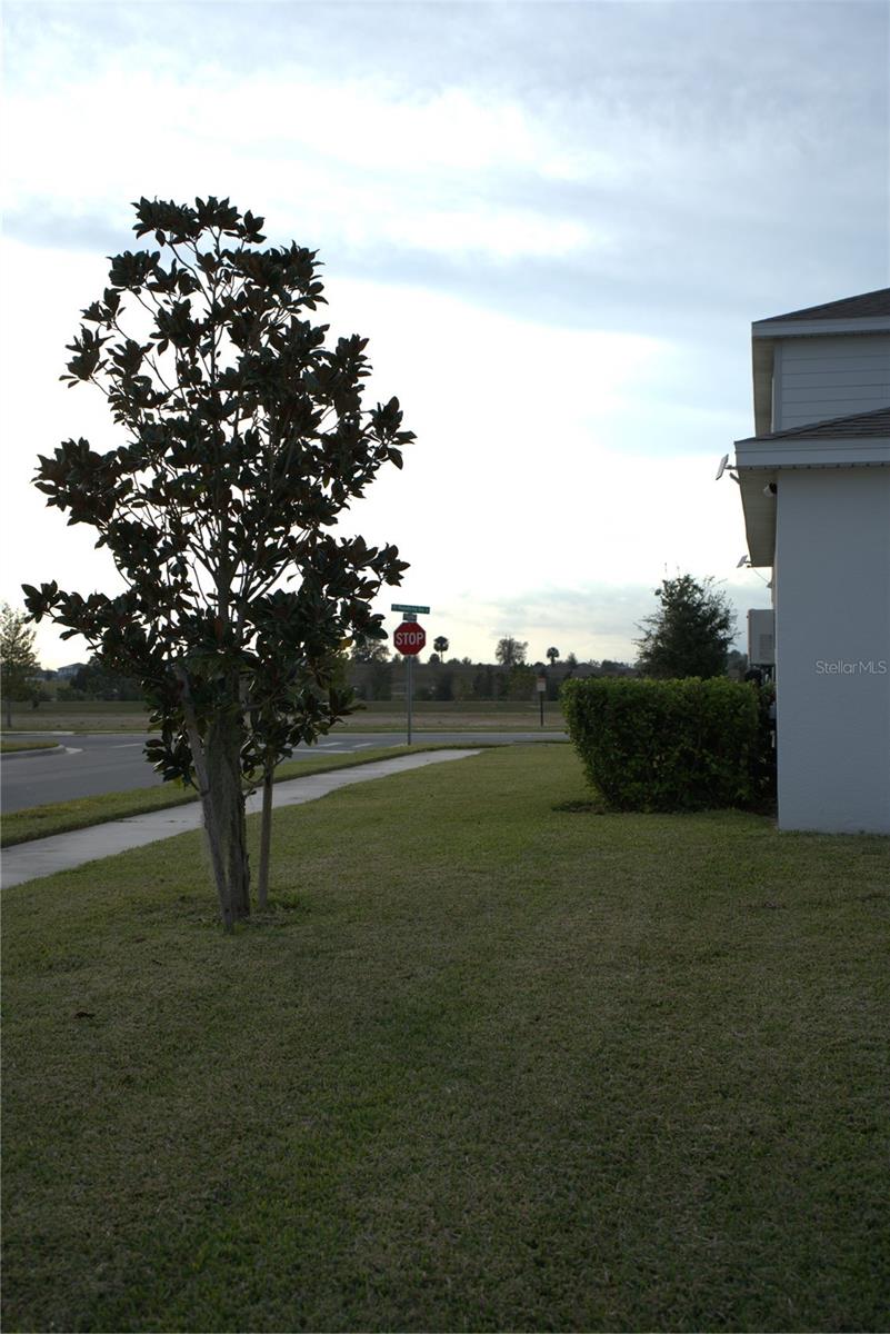 WINDING MEADOWS - Residential