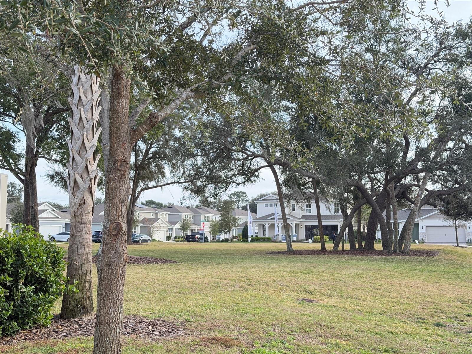 WINDING MEADOWS - Residential