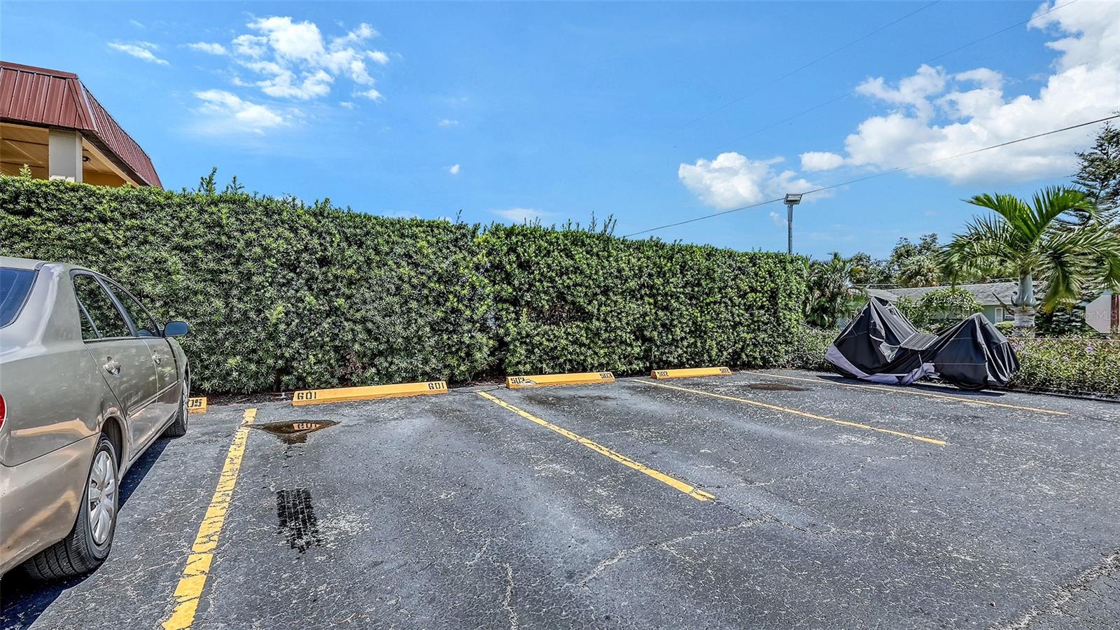 RAINTREE - Residential