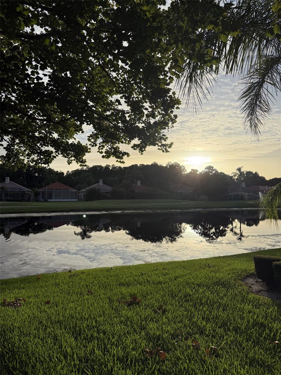Photo of 1338 Dartford Drive, Tarpon Springs, FL 34688 (MLS # TB8528232)