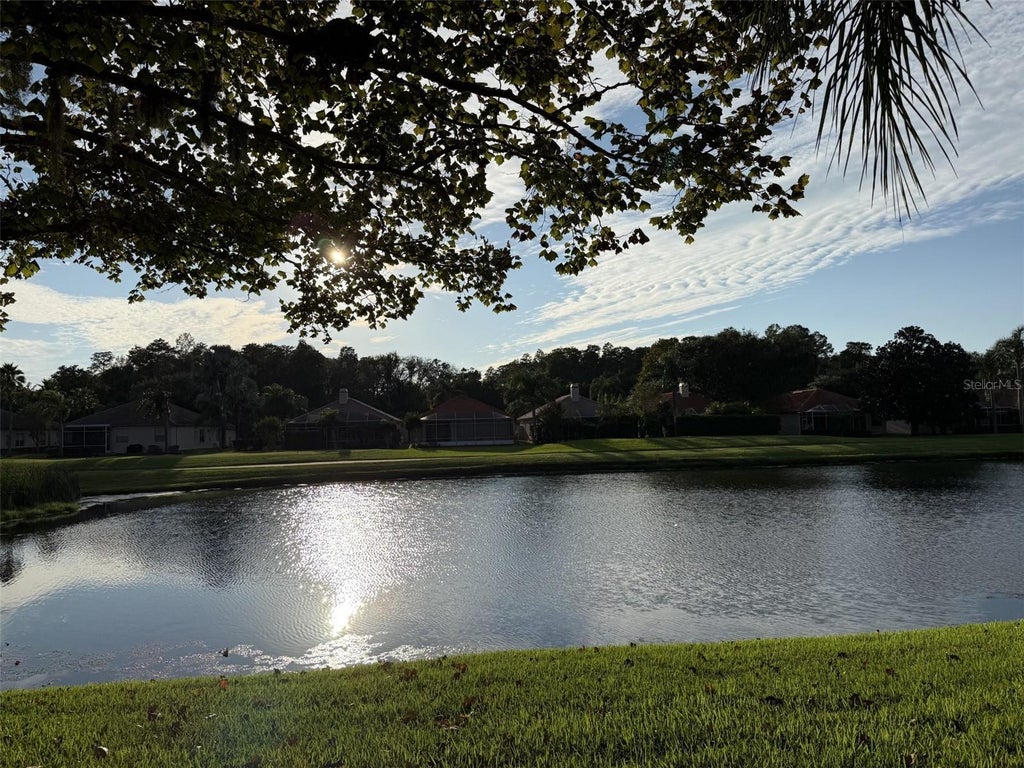 Photo of 1338 Dartford Drive, Tarpon Springs, FL 34688 (MLS # TB8528232)