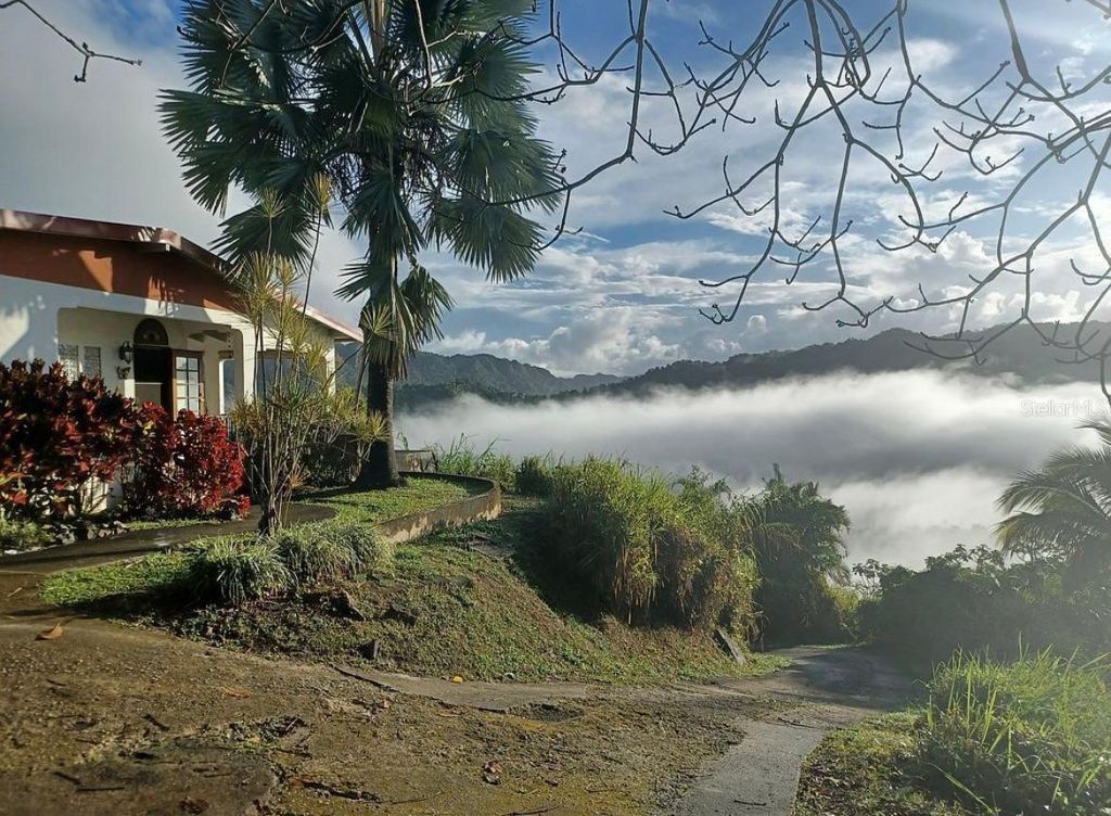 Photo of 612 Sector Bujosa, Utuado, PR 00641 (MLS # PR9119578)