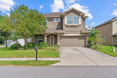 7717 LANDCARE LANE TAMPA FL 33616