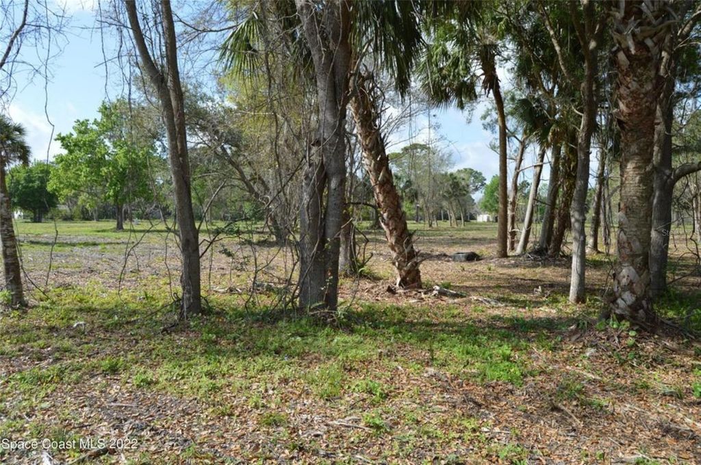 Photo of 3500 Us Highway 1, Mims, FL 32754 (MLS # O6364032)