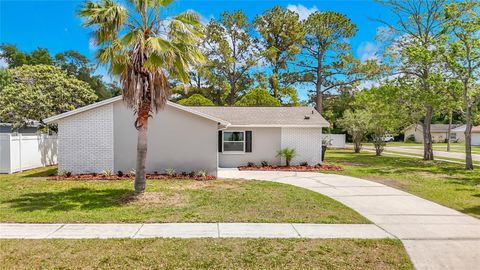 Photo of 14031 Arbor Knoll Circle, Tampa, FL 33625 (MLS # TB8495355)