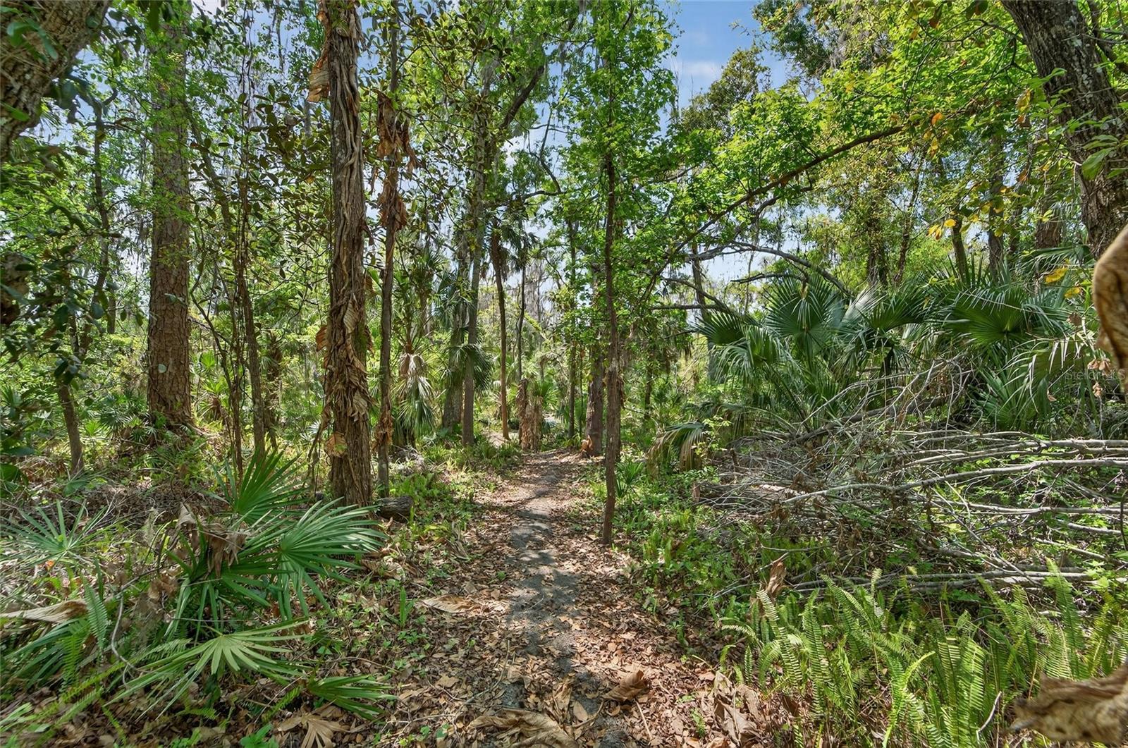 RIVER RAPIDS SUB - Residential