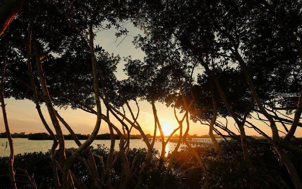 BAYSIDE - Residential