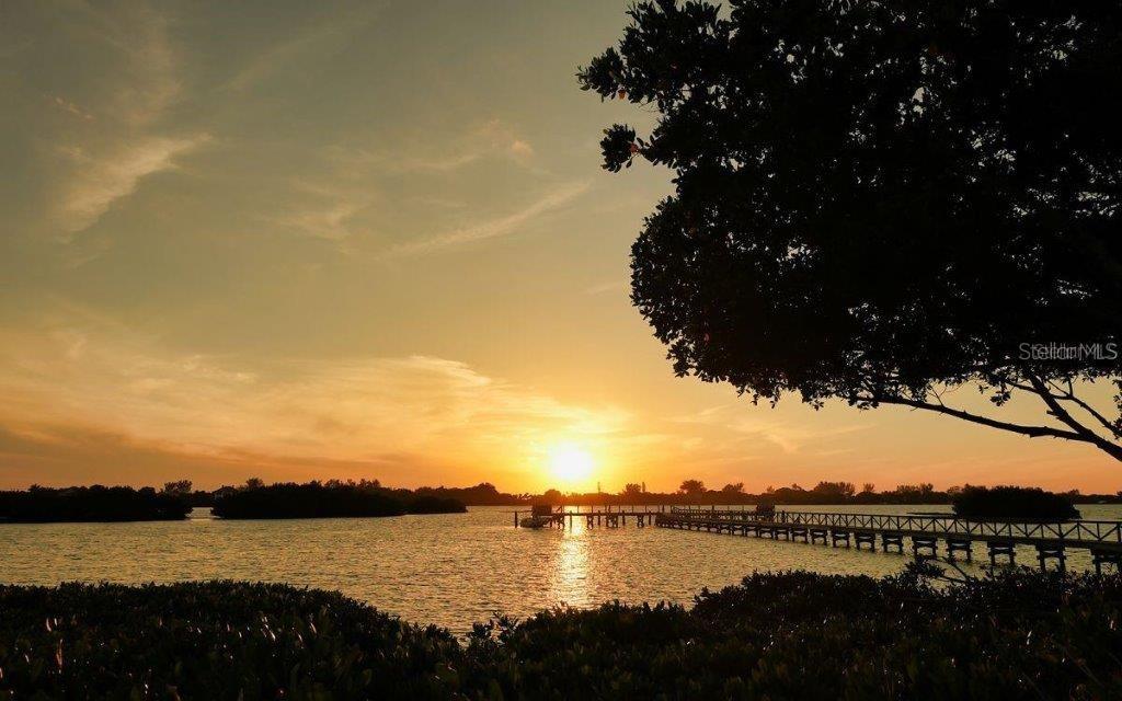 BAYSIDE - Residential