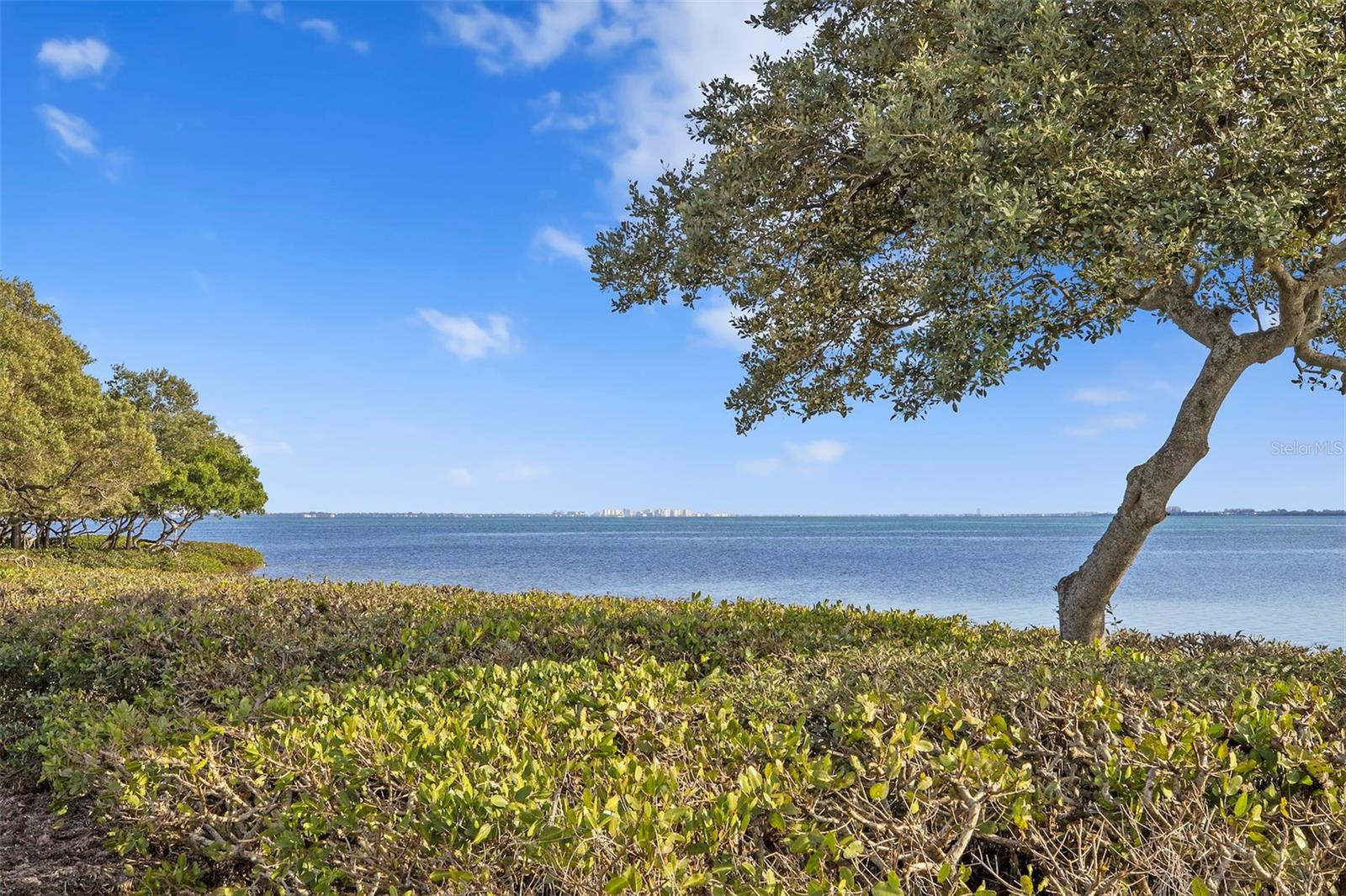 TIDY ISLAND PH II - Residential