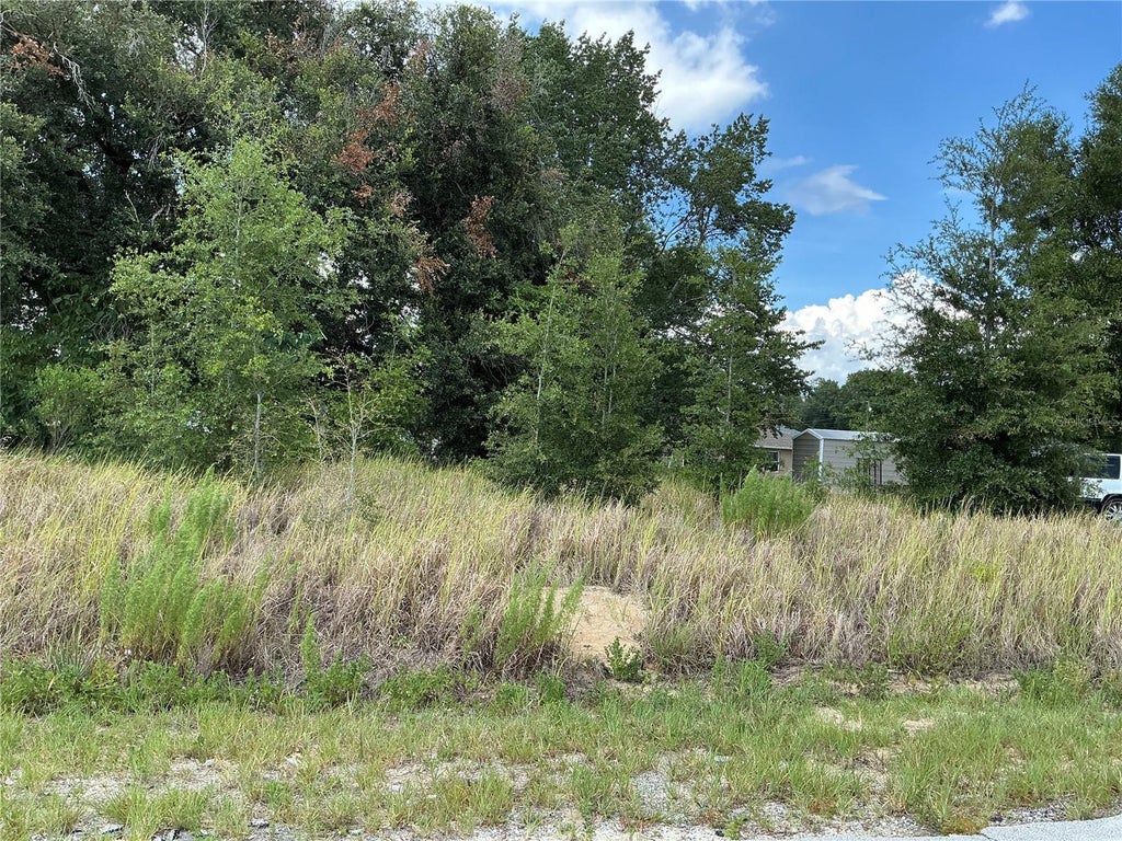 Photo of Dogwood Trail Course, Ocala, FL 34472 (MLS # OM732533)