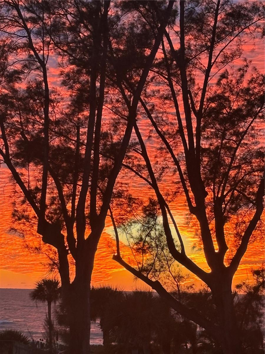 CLUB LONGBOAT BEACH & TENNIS - Residential