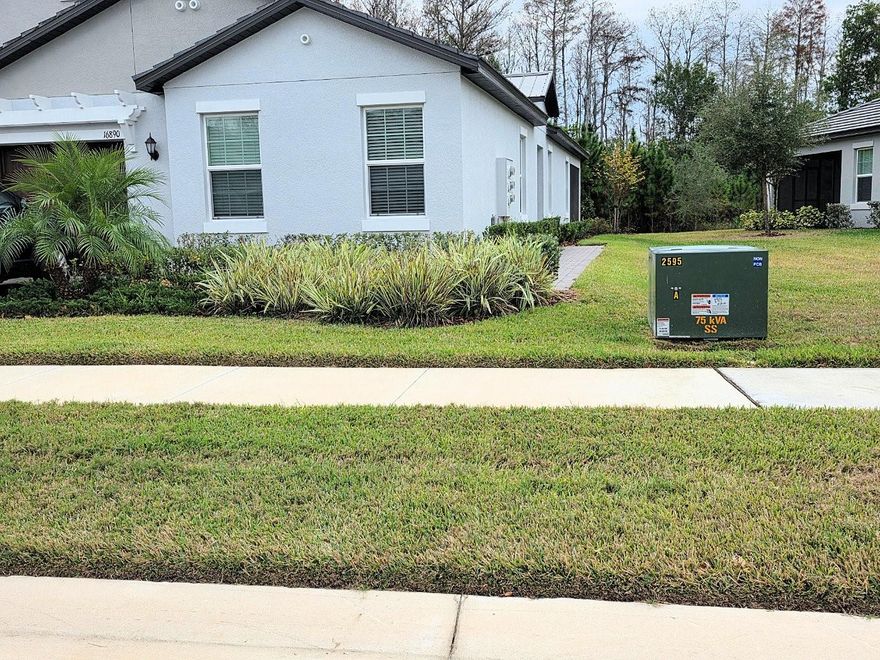 This Move-In Ready rental Home in Angeline is a highly sought-after Active Adult premier 55+ master-planned community! This modern 2-bedroom, 2-bath home with a versatile flex room offers the perfect blend of comfort, function, and style. Just off the foyer, the flex space can serve as a home office, hobby room, or guest retreat. The open-concept layout connects the fully equipped kitchen, dining room, and family room, all of which lead to a large screened-in lanai with peaceful natural views. Mornings and evenings are ideal for enjoying tranquility and nature's beauty. The private owner’s suite features a spacious bedroom and a generous en-suite bathroom with dual sinks and a large tiled walk-in shower. Upgrades include stainless steel appliances, quartz countertops, ceramic tile flooring, and crown molding throughout, a dedicated laundry room, and a one-car garage. The community offers exceptional amenities, complete with a pool, sports courts, and a clubhouse. Residents enjoy walking, jogging, and biking trails, a future recreational lagoon with acres of crystal-clear water, 3,600 acres of preserved green space, a community farm, and endless outdoor activities that make Angeline an active adult haven. Coming soon: a new Moffitt Cancer Center facility nearby, adding even more convenience and peace of mind for residents. All of this is located about 30 minutes from Tampa International Airport. Schedule your private showing today and be in your new rental home for the New Year.