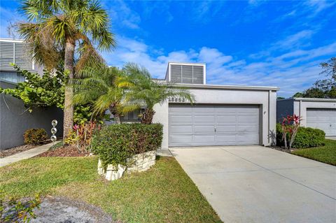 13635 TWIN LAKES LANE 13635 TAMPA FL 33618