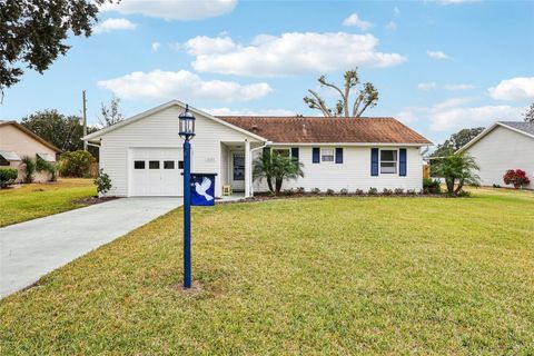 1605 SELKIRK DRIVE LEESBURG FL 34788