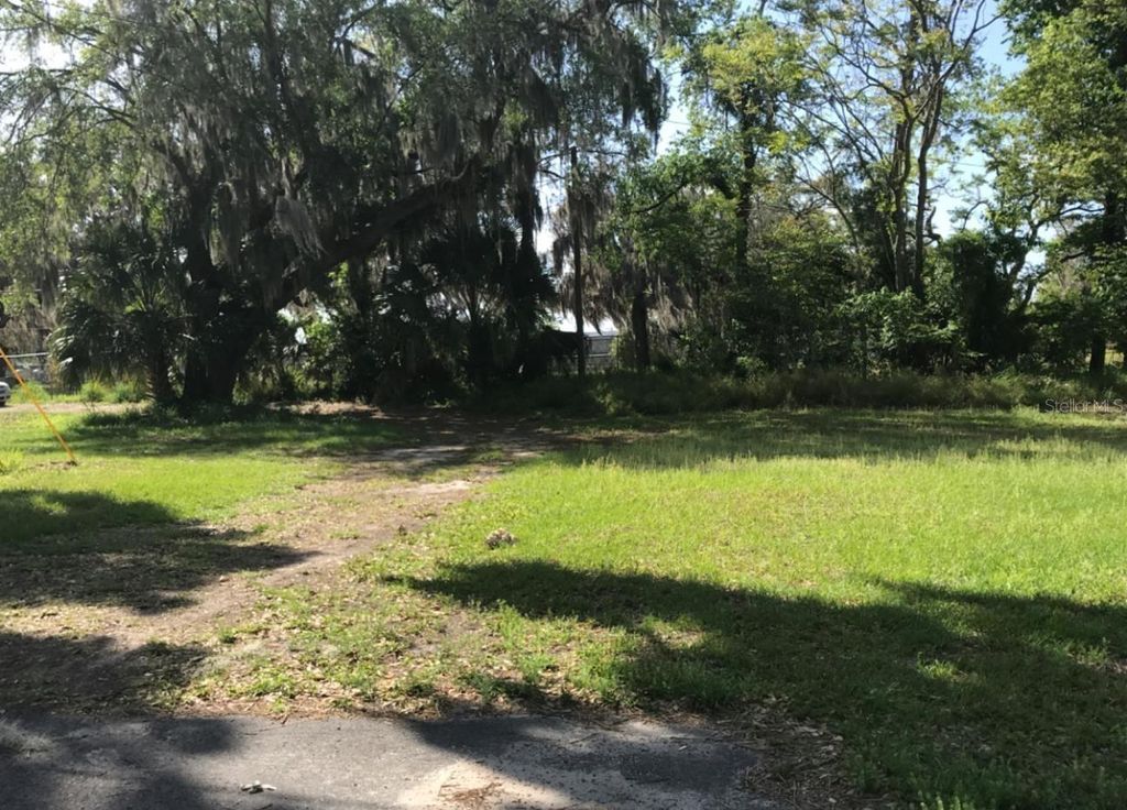 Photo of 121 S Nixon Street, Oakland, FL 34760 (MLS # O6352916)