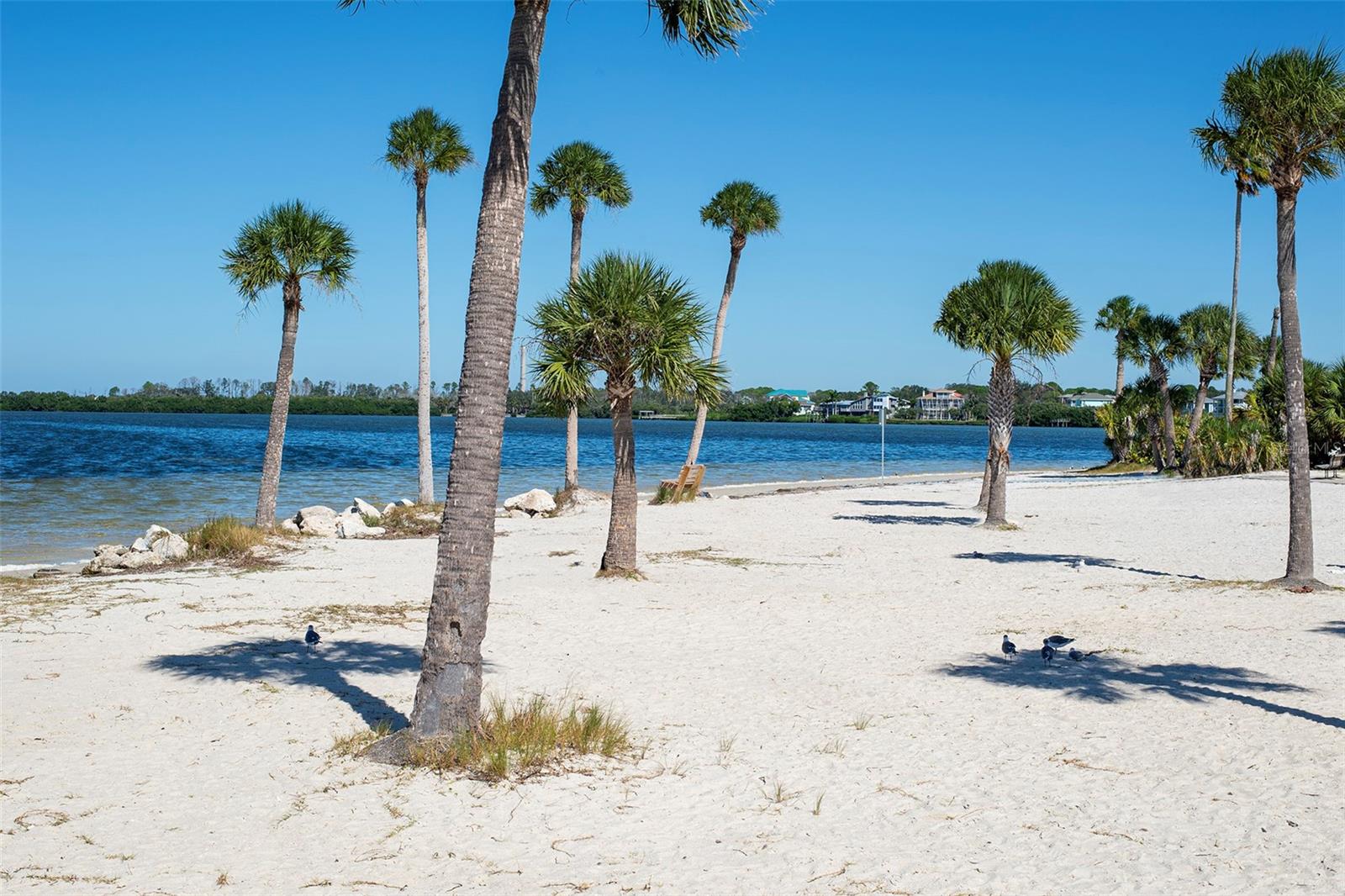 TARPON POINT CONDO - Residential